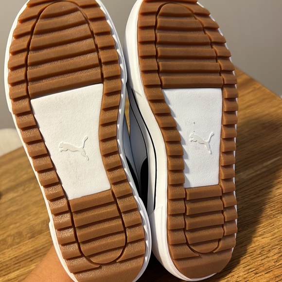 Puma platform - Picture 5 of 5